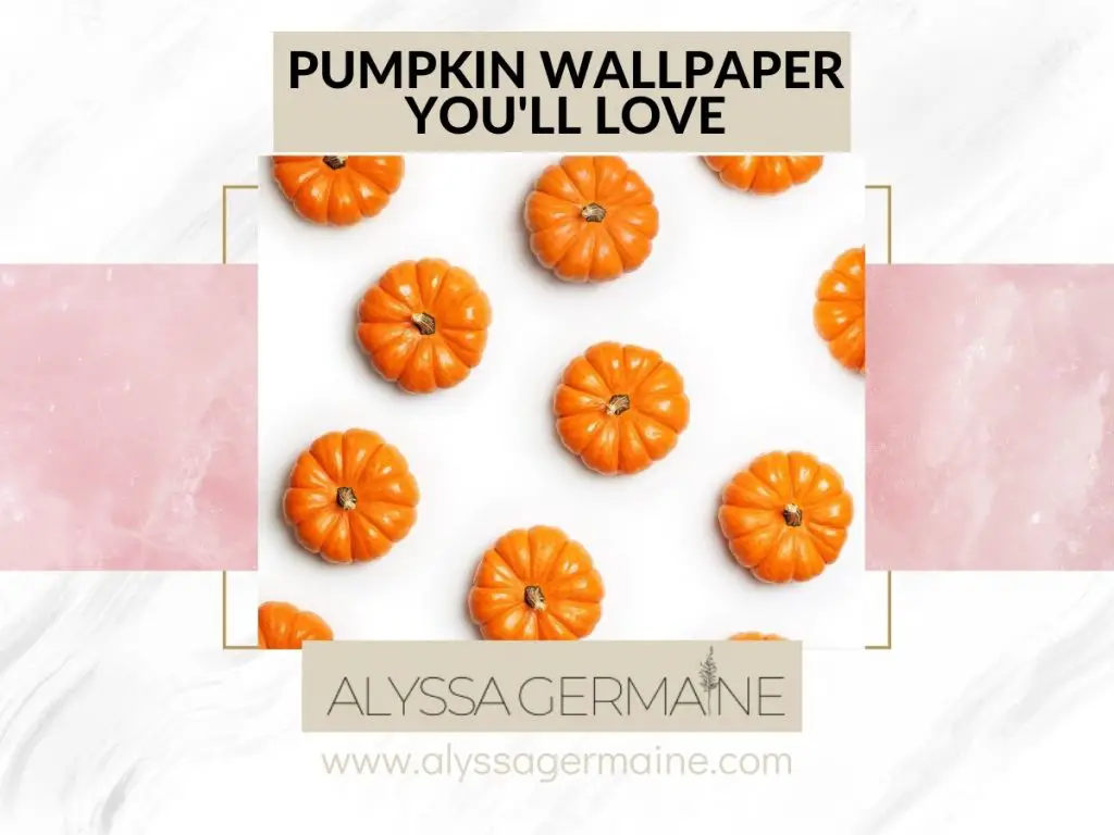 pumpkin wallpaper