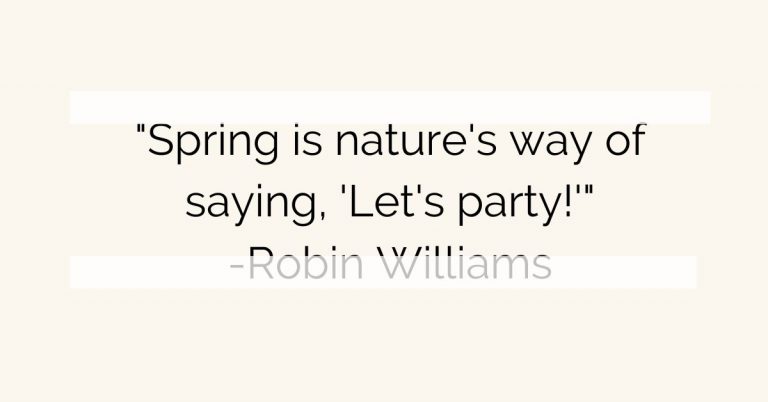 50 Hello Spring Quotes You Should Not Missed Out On