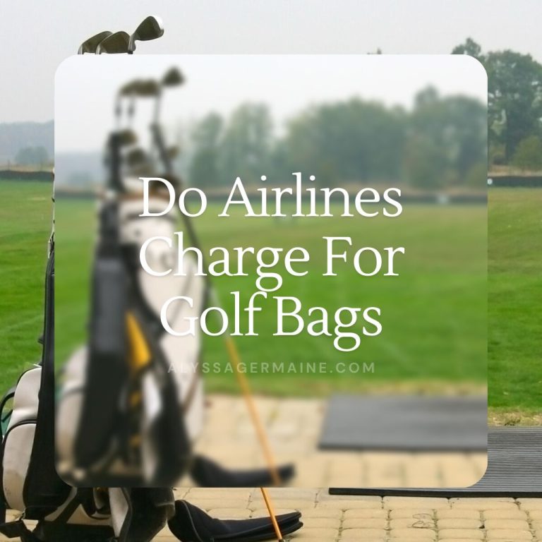 airplane travel bag for golf clubs