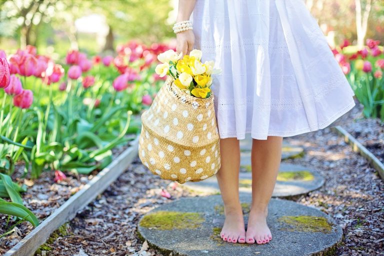 Garden DIY Ideas